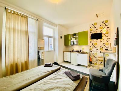 Green Skyline - Central studio with stunning view
