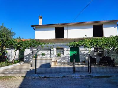 L'uliveto sui Trabocchi