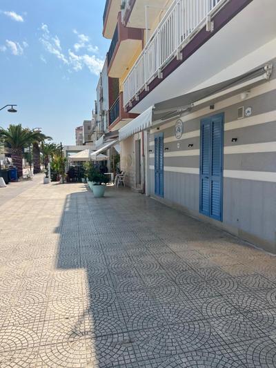 Al delfino blu