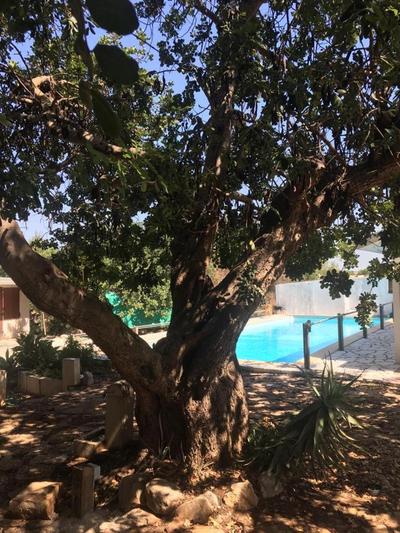 La casa della Salvia con Piscina condivisa in campagna vicino al mare - Canestanco 18