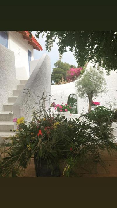 Rosys Little Village