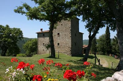 Torre Di Vignale