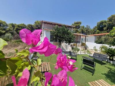 Elmy houses v1 / Calliope