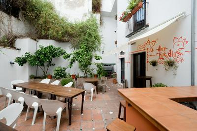 Oasis Backpackers' Hostel Granada