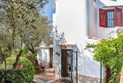 Casa Vacanza Olivegrove