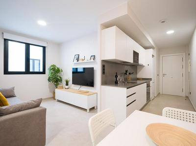 Brand New Downtown Apartment