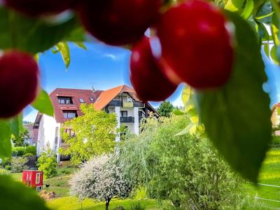 Gasthaus Hirschenstube & Gästehaus Gehri