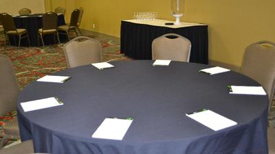Holiday Inn Houston S - NRG Area - Med Ctr, an IHG Hotel