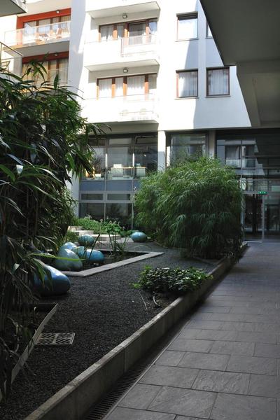 Urban Oasis with free parking
