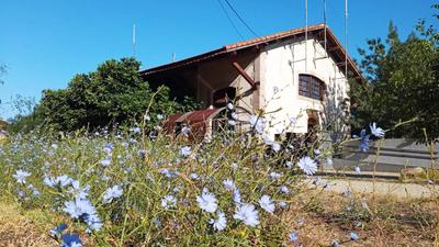Albergue & Cafetería Vía de la Plata Hervás