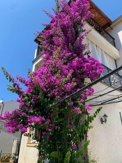 Perla Alba Apartments