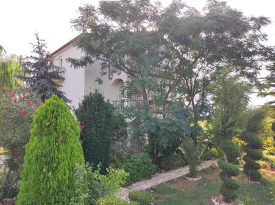 Villa Olive Island