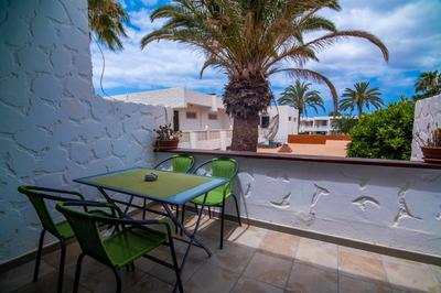 The Great Palm Apartment