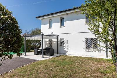 Collina degli Olivi