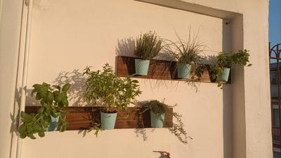 DOMUS VACANZE ROMANE