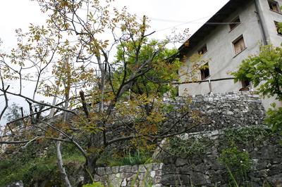 B&B Allo Spizzo