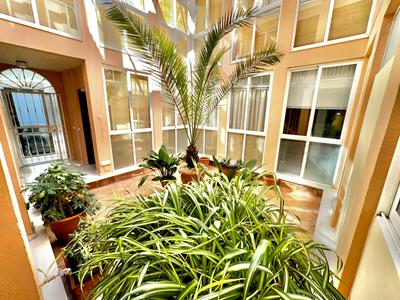 Apartamento Arellano