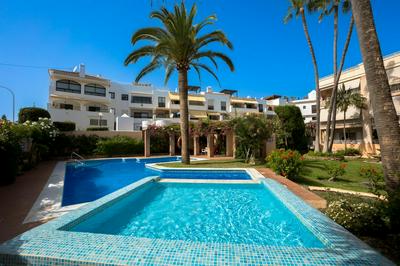NERJA JARALES Menyber