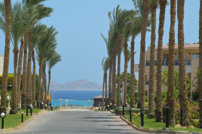 Ivy Cyrene Sharm Resort Adults Friendly Plus 13
