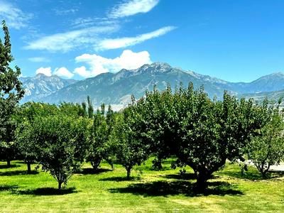 25 Min to World-Class Ski Resorts, Swimspa, Pickleball, Orchard Villa