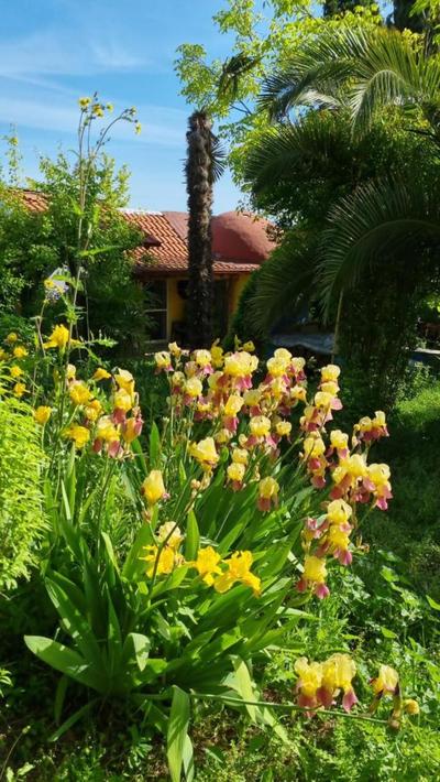 Home & Gardens 2-Bed Villa in Sevasti Katerini