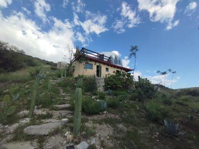 Chichi Jamaica Glamping Hotel Campestre