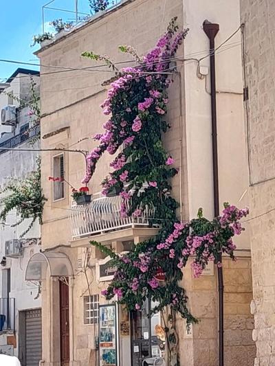 B&B Claustro Mirti