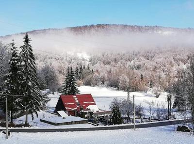 Angel Holiday House