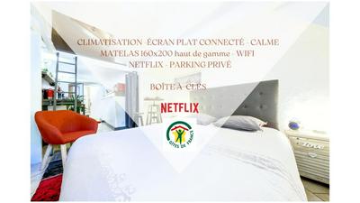 Gîtes La Tarine - Studio, Lit Queen Size "CLIMATISATION, NETFLIX et WIFI, parking, HYPERCENTRE a 400m, lave vaisselle, boite a clés pour arrivée tardive, l