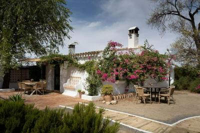 Ranchito de Alhucemas,piscina privada y barbacoa