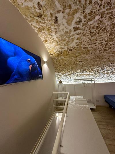 Andive Loft
