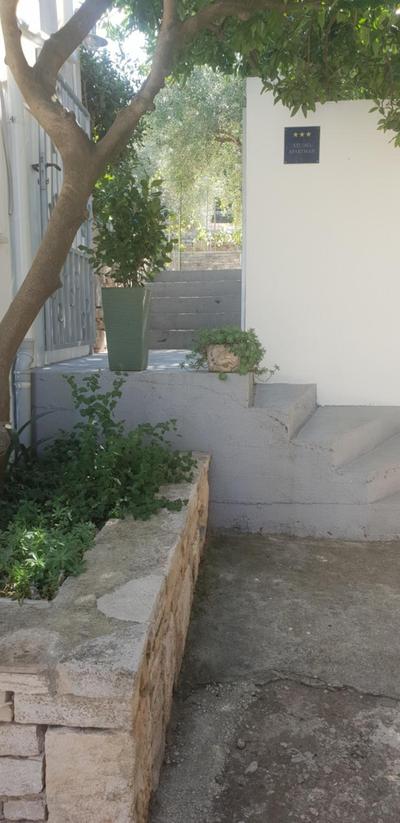 DOWNTOWN GARDEN