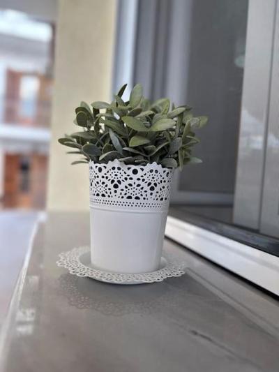 Stay Thyme, 2 BRS apt, 5mins Nafplio, 10 mins beach