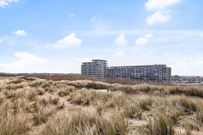 Studio des Dunes, 写真 2