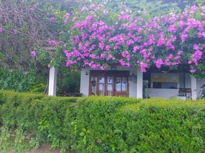 Ella Happy View Homestay