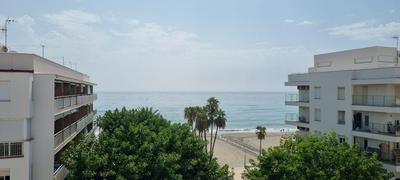 Apartamentos Real 81