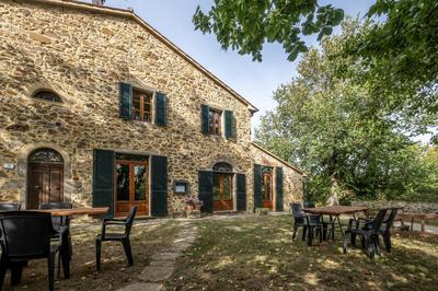 Ginestra