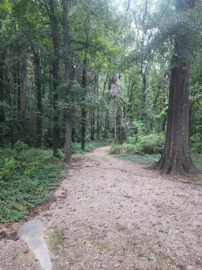 Spotless 4BR near CLT Uptown, Fast Wi-Fi