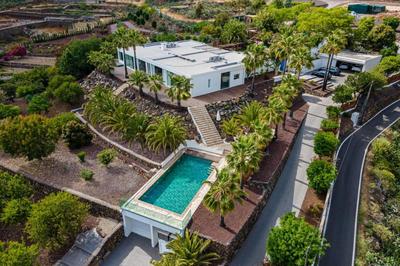 The Nest Tenerife