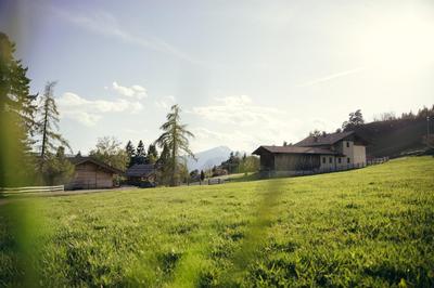 Obertimpflerhof Wohnung Rosi