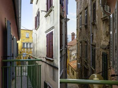 Ginger in Labin - Istrien