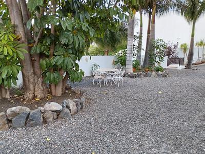 Las palmeras