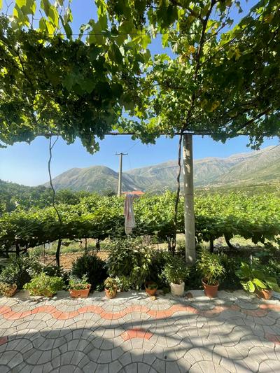 Apartament Dukat Albania