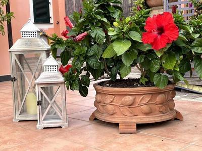 Annali Casa vacanze - Shabby style nella natura