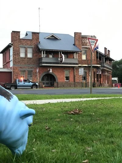 COMMERCIAL HOTEL KANIVA call to save dollars