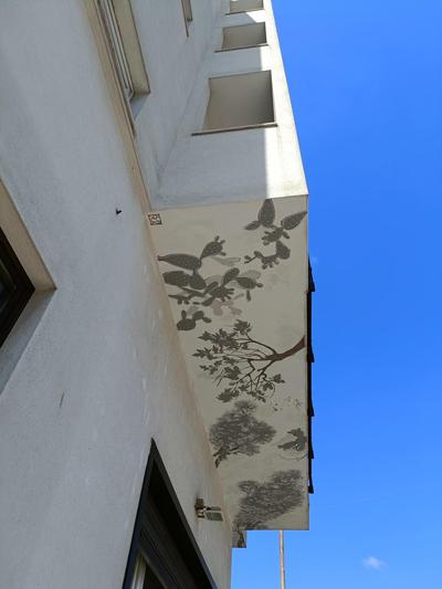 Casa Terka