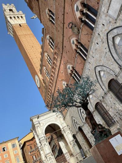 acasasiena