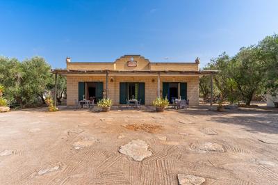 Domus mea salento Arazzo Giallo