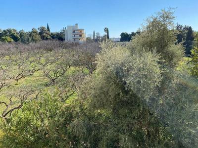 Urban Apartment in Marousi with Rural View