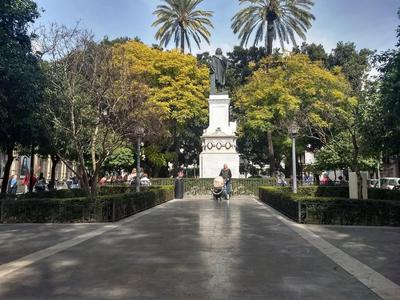 Downtown Plaza del Museo